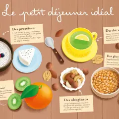 Illustration d'un **petit-déjeuner équilibré** : œuf, fromage, fruits, thé vert, fruits secs et pain complet.