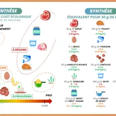 Graphique comparant le coût écologique des aliments avec le plus de protéines. Le tofu et les lentilles sont les plus avantageux.