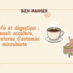 Le café à jeun peut accélérer le transit et causer des brûlures d'estomac. Illustration d'une tasse de café et d'un système digestif.