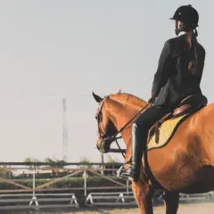 Une cavalière en tenue d'équitation, le périnée bien soutenu, monte un cheval brun dans une carrière.