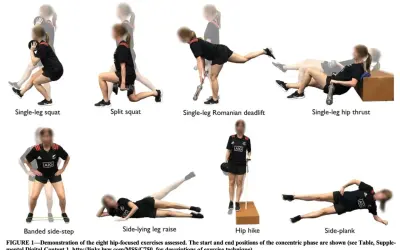 Huit exercices pour le moyen fessier : squat sur une jambe, fente, soulevé de terre roumain sur une jambe, hip thrust sur une jambe, pas latéraux bandés, élévation latérale de jambe, hip hike, planche latérale.