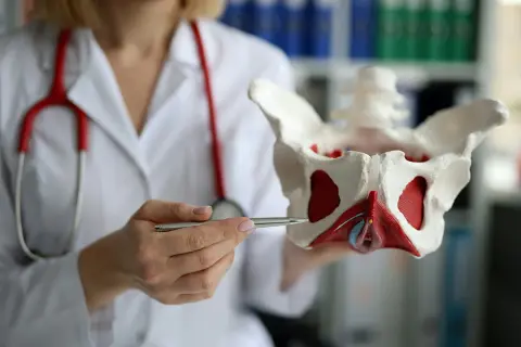 Une docteure explique le périnée avec un modèle anatomique. Elle précise le nombre de séances de rééducation périnée par semaine pour une meilleure santé.
