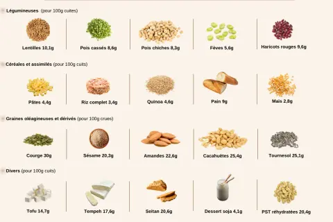 Tableau comparatif des 10 aliments les plus riches en protéines végétales : courge, cacahuètes, tournesol, amandes, sésame, PST réhydratées, seitan, tempeh, tofu, lentilles.