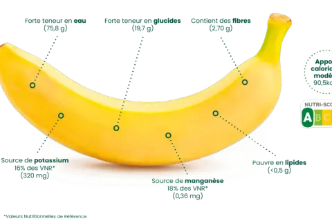 Banane : apport calorique modéré (90,5 kcal), riche en eau, glucides, fibres, potassium et manganèse. Faible en lipides. Nutri-score A.