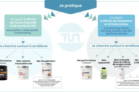 Guide pour savoir quand prendre la créatine : pour la force, le volume, la récupération, la vitesse, l'explosivité, l'endurance et la résistance.
