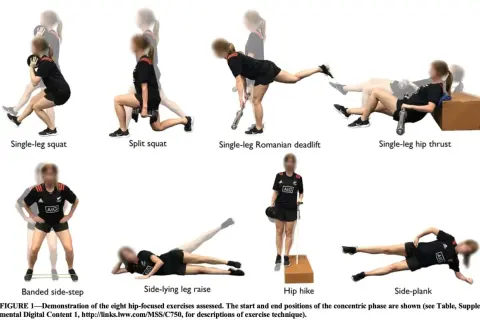 Huit exercices pour le moyen fessier : squat sur une jambe, fente, soulevé de terre roumain sur une jambe, hip thrust sur une jambe, pas latéraux bandés, élévation latérale de jambe, hip hike, planche latérale.