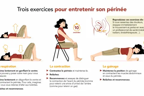 Trois exercices pour entretenir son périnée : respiration, contraction et gainage. Ces mouvements aident à renforcer le périnée pour un meilleur contrôle, contribuant à stop pipi périnée.