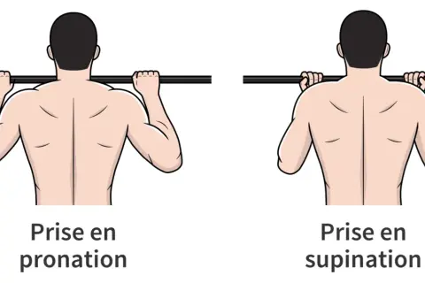 Comparaison de la prise en pronation et supination pour la traction. La prise en pronation sollicite différemment les muscles du dos.