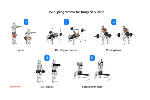 Programme full body débutant : squat, développé couché, rowing barre, curl biceps, extension triceps.