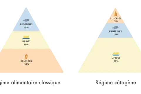Comparaison des pyramides alimentaires : classique (55% glucides) vs cétogène (80% lipides, 5% glucides). Un régime sans sucre est plus proche du cétogène.