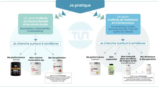 Guide pour savoir quand prendre la créatine : pour la force, le volume, la récupération, la vitesse, l'explosivité, l'endurance et la résistance.