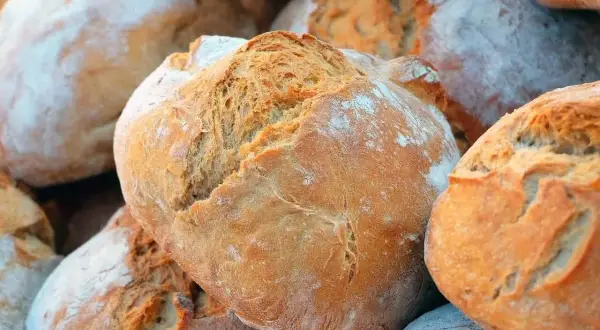 Gros pains artisanaux, dorés et farinés, parfaits pour ceux qui préfèrent le pain le moins sucré.