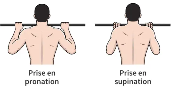 Traction pronation - technique, muscles et progression