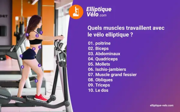 Une femme utilise un vélo elliptique, un appareil de fitness qui sollicite de nombreux muscles.