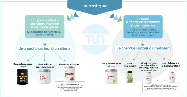 Guide pour savoir quand prendre la créatine : pour la force, le volume, la récupération, la vitesse, l'explosivité, l'endurance et la résistance.