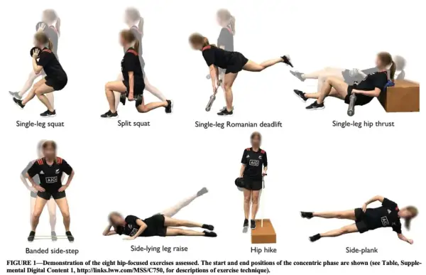 Huit exercices pour le moyen fessier : squat sur une jambe, fente, soulevé de terre roumain sur une jambe, hip thrust sur une jambe, pas latéraux bandés, élévation latérale de jambe, hip hike, planche latérale.