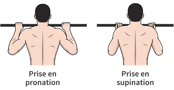 Comparaison de la prise en pronation et supination pour la traction. La prise en pronation sollicite différemment les muscles du dos.