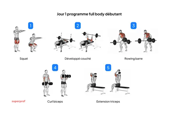 Programme full body débutant : squat, développé couché, rowing barre, curl biceps, extension triceps.