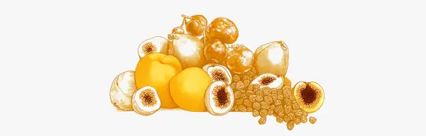 Gros plan sur une pile de fruits secs et frais, dont des figues coupées, des abricots et des raisins secs, des fruits riches en fer pour une alimentation saine.